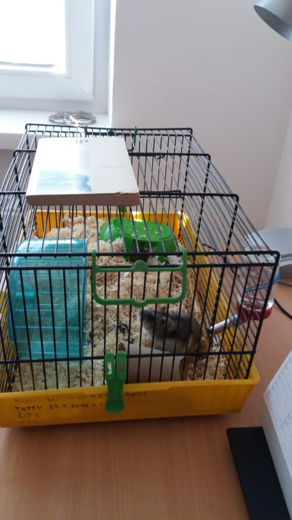 malá a nevhodná klietka pre škrečka